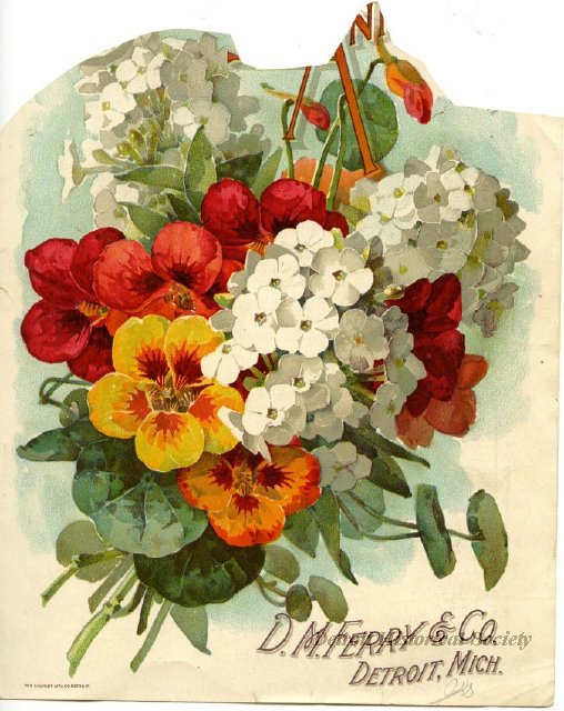 D.M. Ferry and Company seed catalog cover, 1920