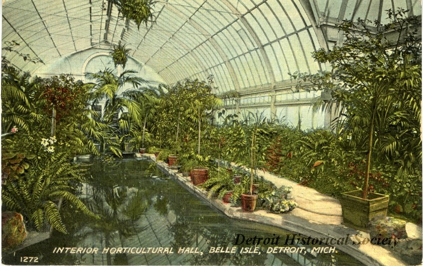 Anna Scripps Whitcomb Conservatory interior postcard, 1912 – 2010.024.013