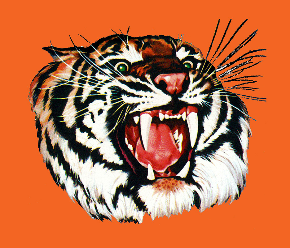 Год тигра 2025. Тигр стрелок. Скин year of the Tiger.